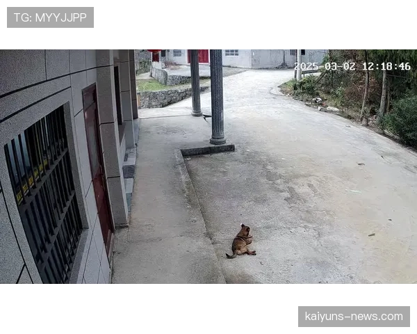 蒋圣龙家的狗都比我去过的地方多 蒋圣龙家的狗都比我去过的地方多